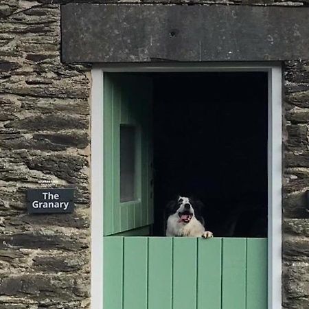 Dog Friendly Cottage, Geufron Farm Near Tywyn Bryn-crug エクステリア 写真