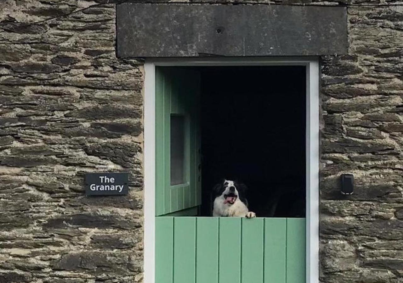 Dog Friendly Cottage, Geufron Farm Near Tywyn Bryn-crug エクステリア 写真
