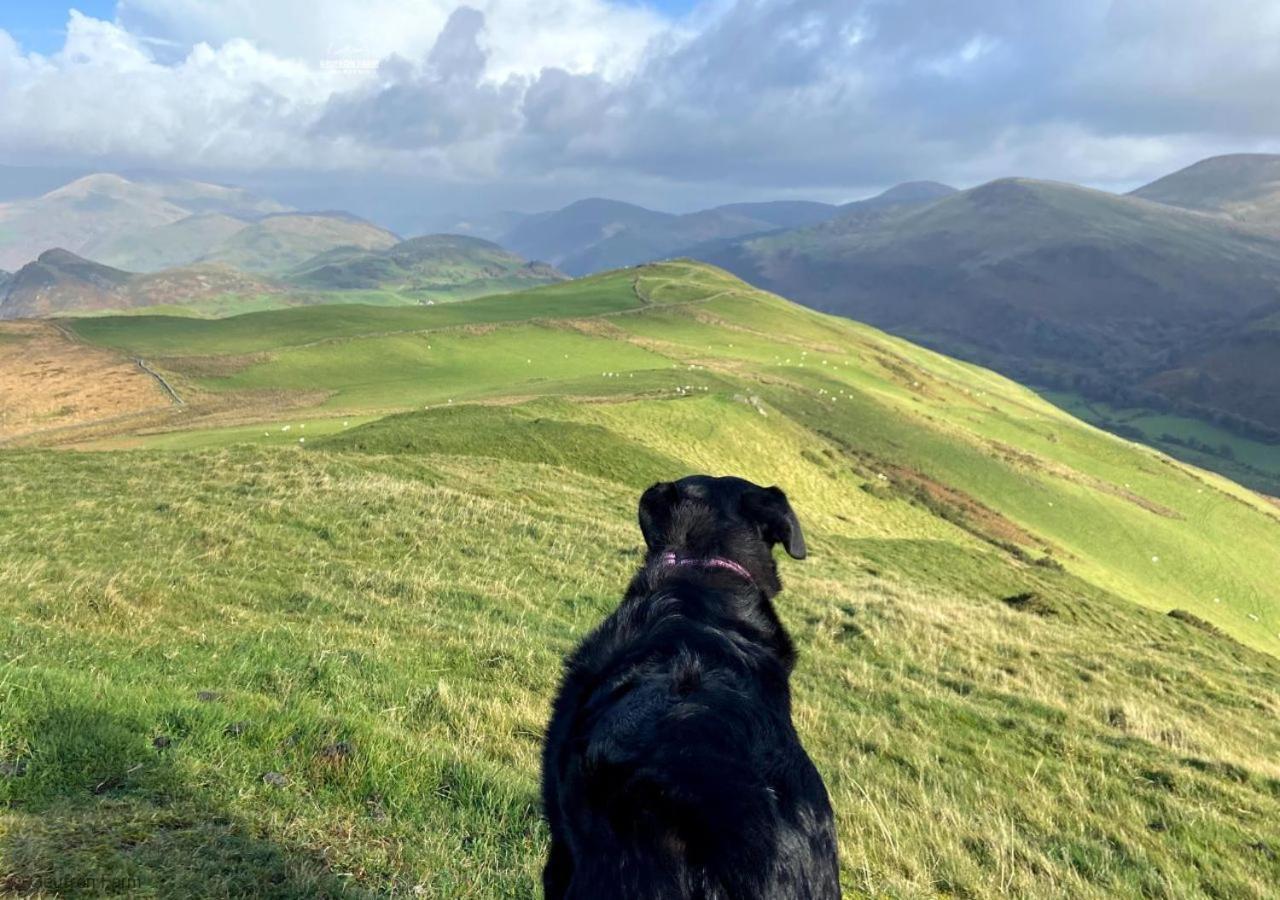 Dog Friendly Cottage, Geufron Farm Near Tywyn Bryn-crug エクステリア 写真