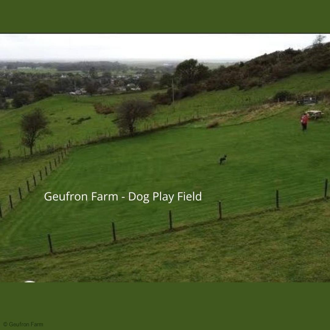 Dog Friendly Cottage, Geufron Farm Near Tywyn Bryn-crug エクステリア 写真