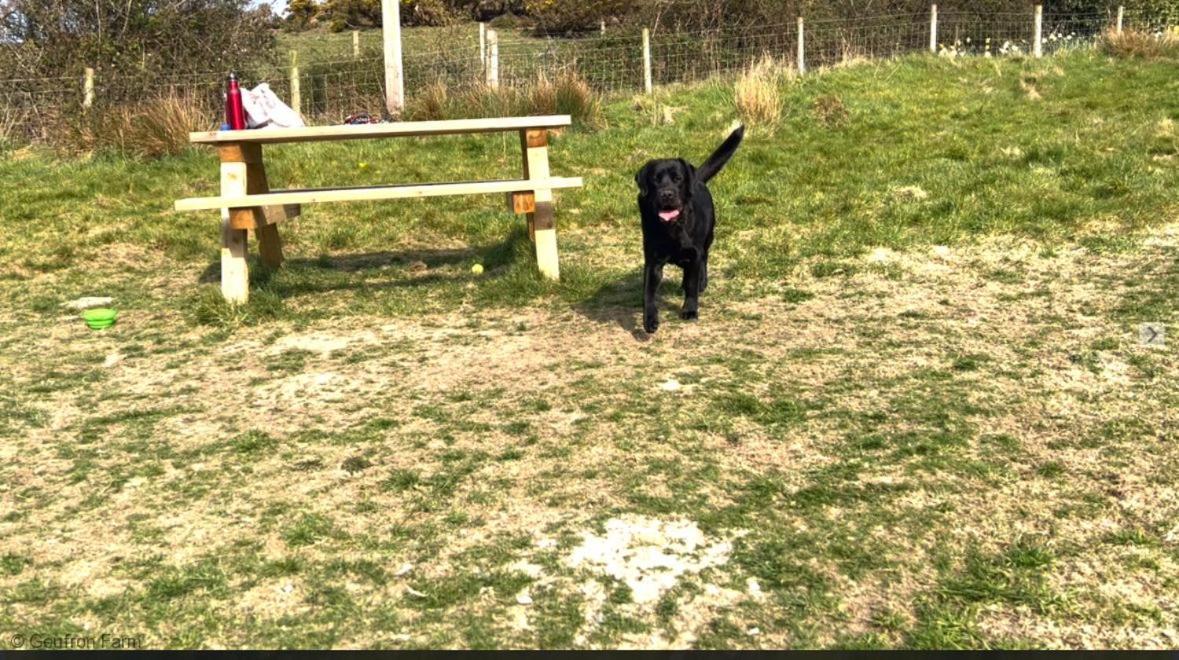 Dog Friendly Cottage, Geufron Farm Near Tywyn Bryn-crug エクステリア 写真